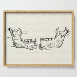 Vintage Anatomy Lower Jaw Serving Tray