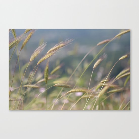 im Wind Canvas Print