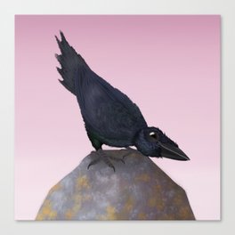 Common Raven (Canavians Series) Canvas Print