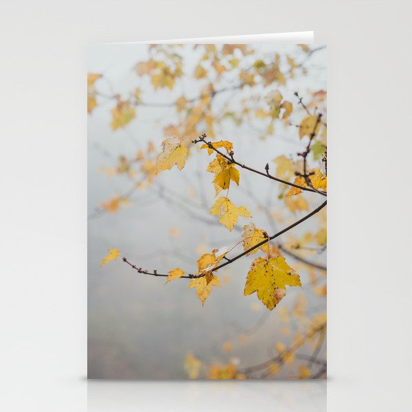 Yellow Leaves Stationery Cards