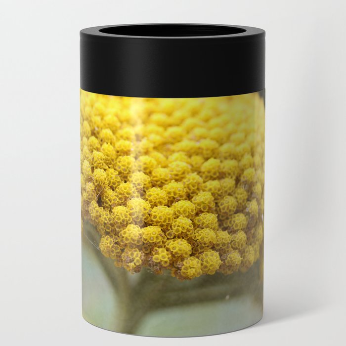 Vintage Yellow Yarrow Can Cooler