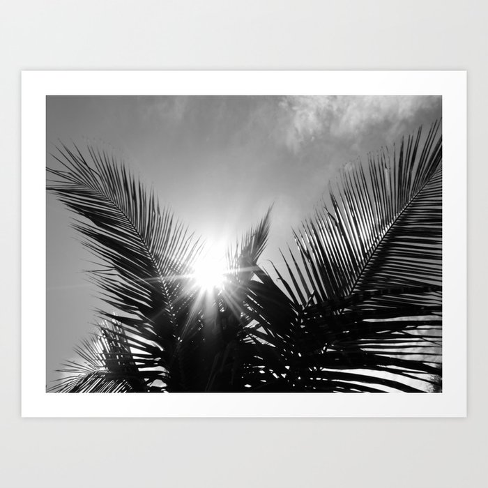 Sunlight through the palms Art Print