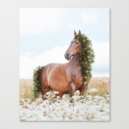 Spring Horse Canvas Print