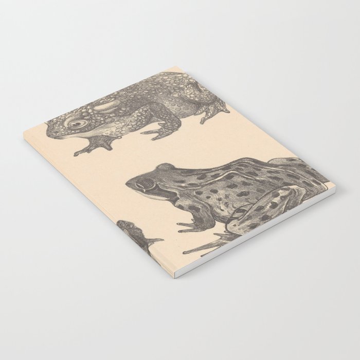 Naturalist Frogs Notebook