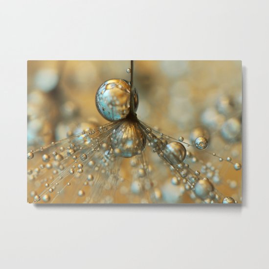 Golden Dandy Shower Metal Print