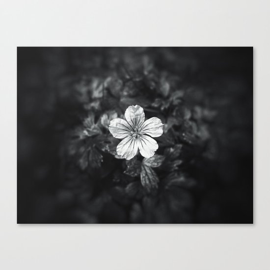 Minimalistic black and white flower petal Canvas Print
