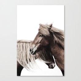 Horses Print Canvas Print