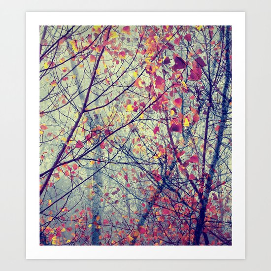 trees misty morning Art Print