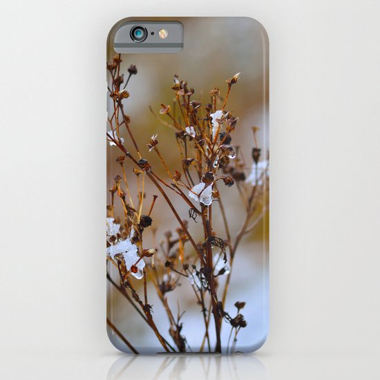 Frosty Days iPhone & iPod Case