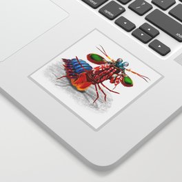 Peacock mantis shrimp in attack pose art print Sticker
