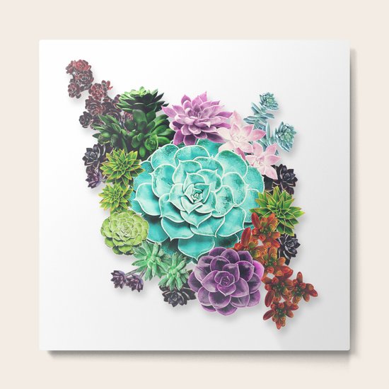 Succulent Metal Print