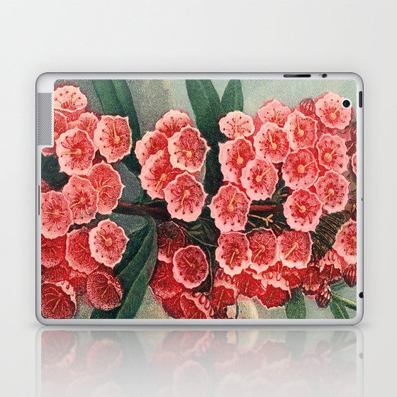 Pink Floral The Narrow-leaved Kalmia : Temple of Flora Laptop & iPad Skin