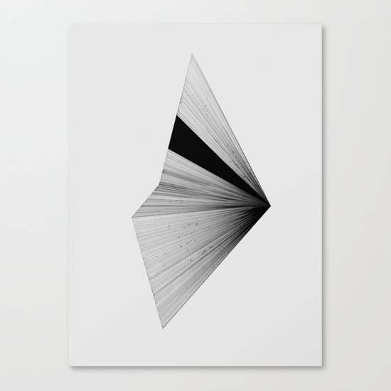 Half 2 Canvas Print