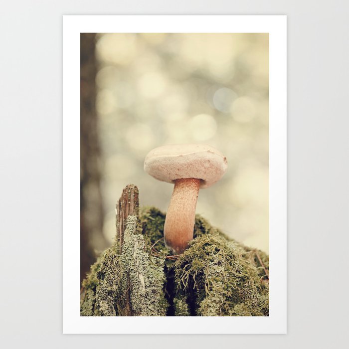 Woodland Mushroom Art Print