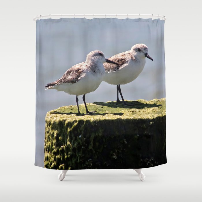 2 Birds 1 Pole Shower Curtain By Charlierae Society6