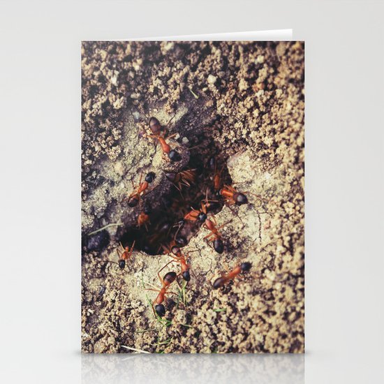 Ants Stationery Cards