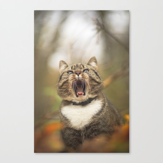 Cat roar Canvas Print