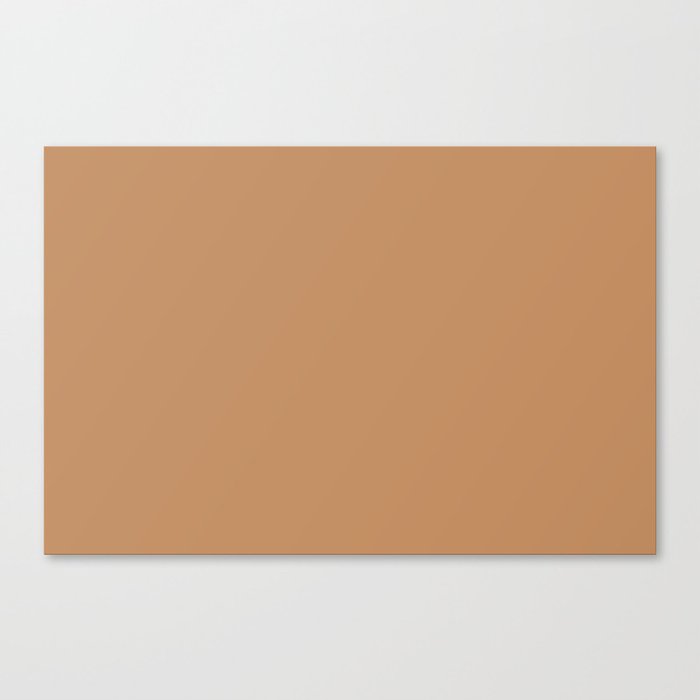 Warm Light Clay Brown Solid Color Accent Shade Matches Sherwin Williams Eastlake Gold SW 0009 Canvas Print