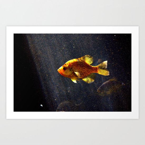 Something Fishy Art Print