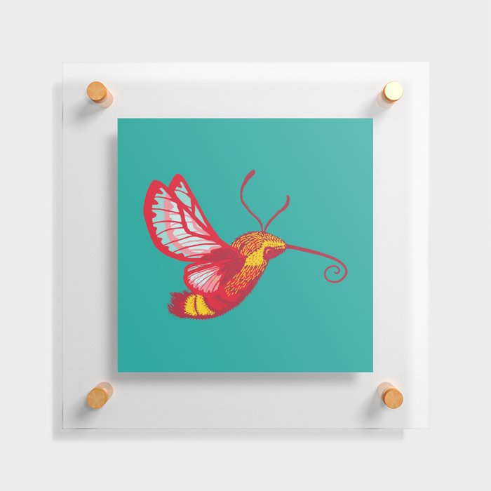 Hummingbird Moth Floating Acrylic Print