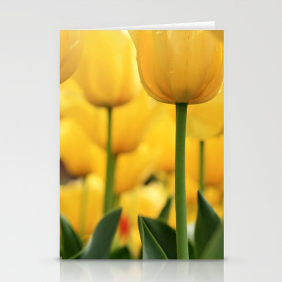Tiptoed Stationery Cards