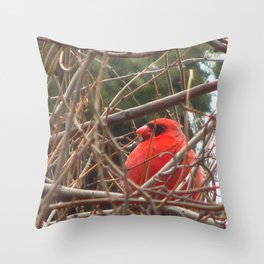 Chilly Cardinal 2 Throw Pillow