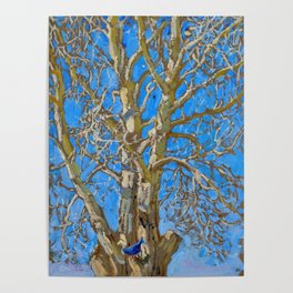 Akseli Gallen-Kallela - Crack Willow and Blue Bird Poster