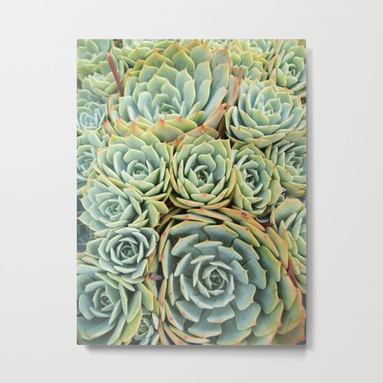 Succulentville Metal Print