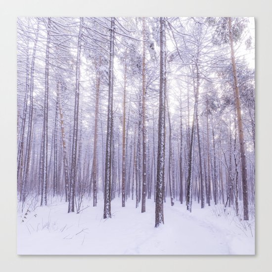 Snow in Trees Canvas Print