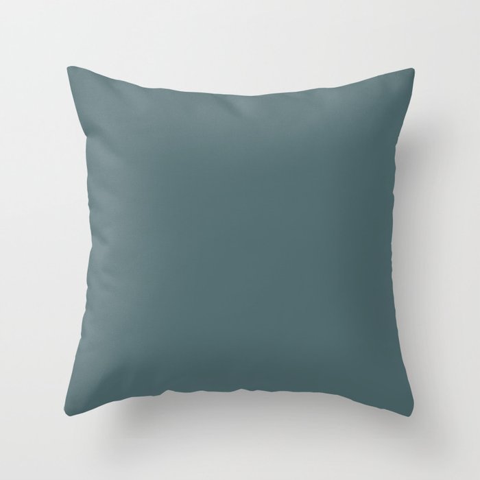 Blue Grey Color Throw Pillow