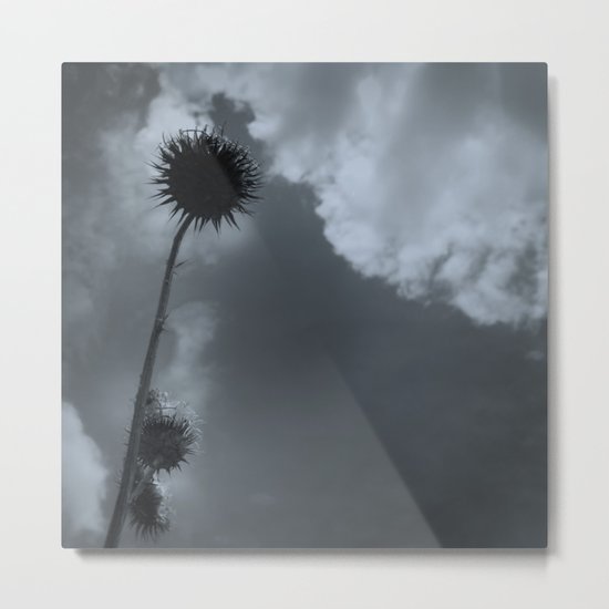 Standing Tall Metal Print