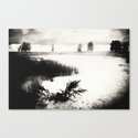 Portrait Of A Highland Cow Canvas Print By Dorit Fuhg