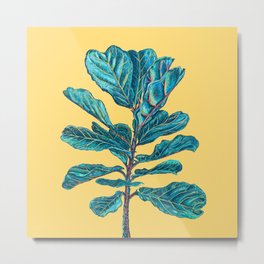 Fiddle Leaf Fig Metal Print