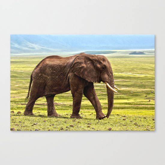 Elephant Safari Canvas Print