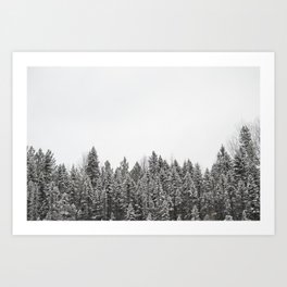 Algonquin Trees Art Print