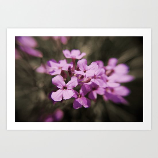 Pretty in Pink 2 Art Print
