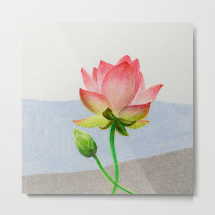 Blooming peach lotus 1 Metal Print