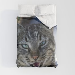 Chatty Cat Chirruping Pet Photography Comforter