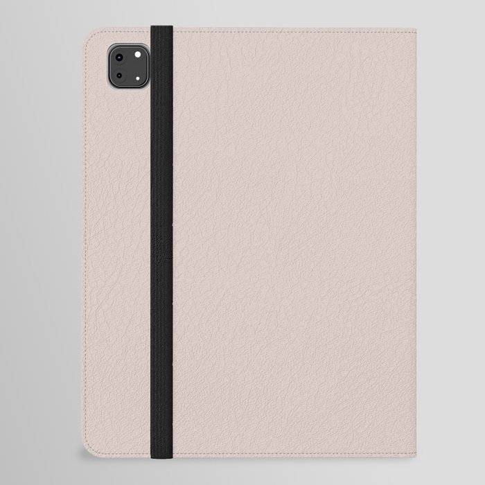 Pale Gray Baby Beige Solid Color Pairs PPG First Kiss PPG1017-2 - All One Single Shade Hue Colour iPad Folio Case