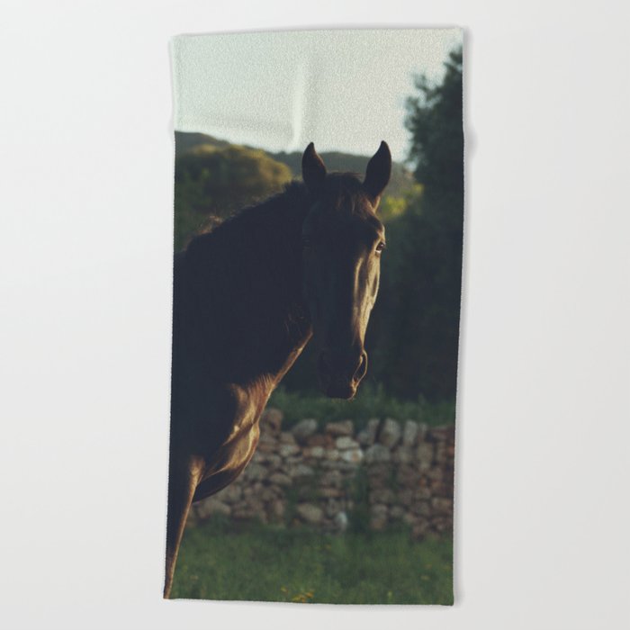 Wild stallion photo, black horse and italian sunset, original print for animal lovers, landscape Beach Towel
