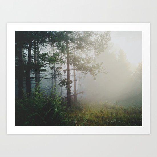 Fog in the forest Art Print