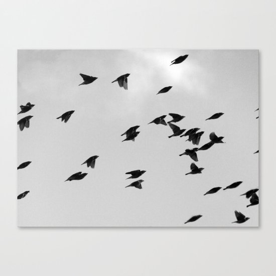 Birds Of A Feather Canvas Print