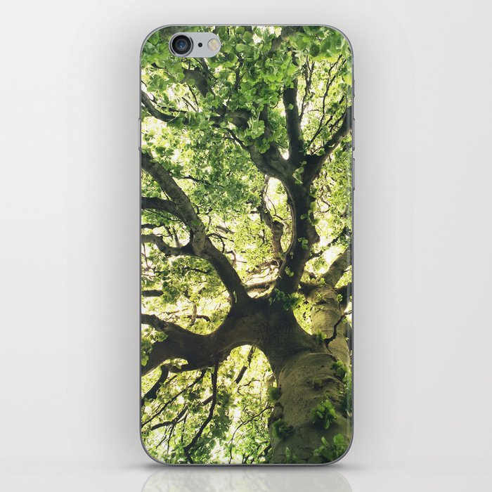 Under Your Skin // Summer Breeze In A Summer Fairytale Fores iPhone Skin