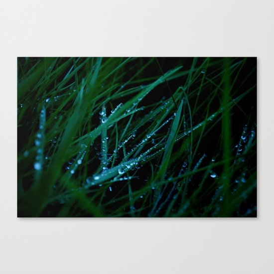 Morning Canvas Print