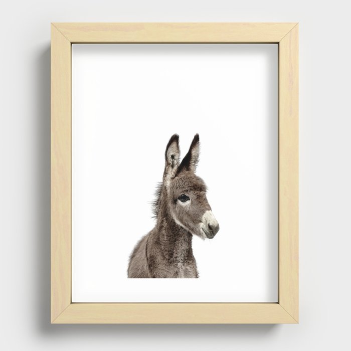 Baby Donkey Nursery  Recessed Framed Print