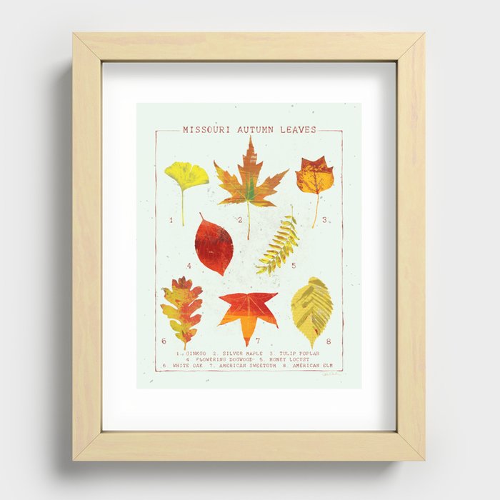 Missouri Autumn Leaves Chart Recessed Framed Print