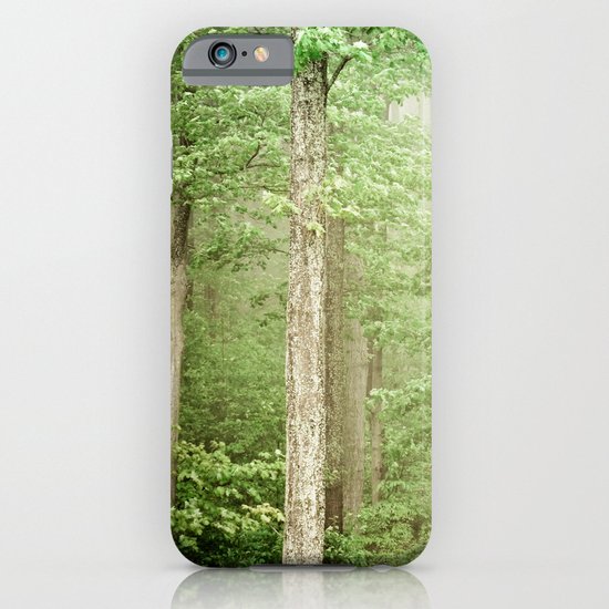 The Beauty of Ordinary Things iPhone & iPod Case