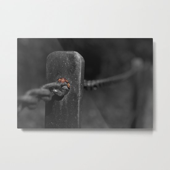 shelter from the storm... Metal Print