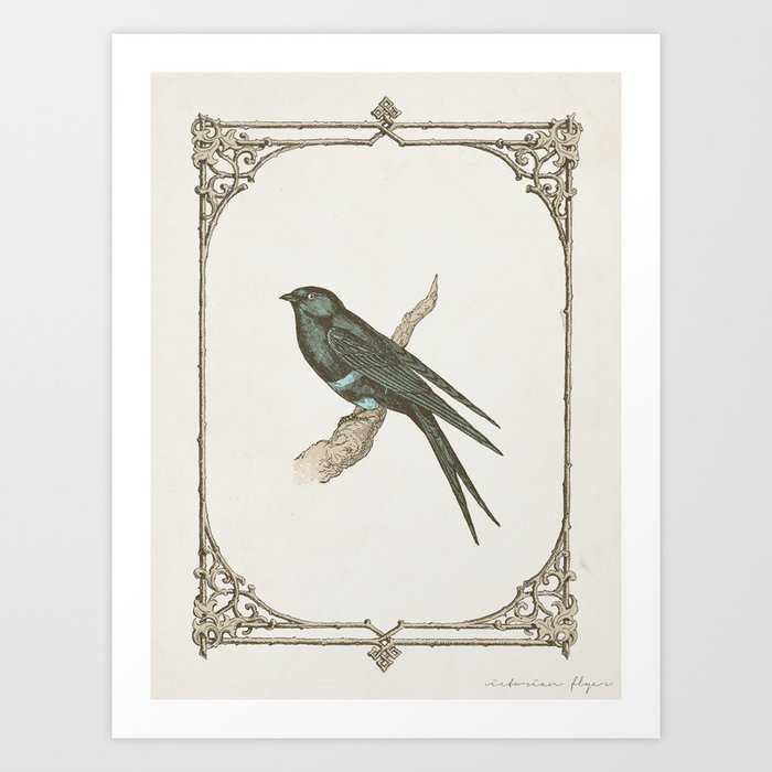 A Victorian Bird Art Print by Zeke Tucker