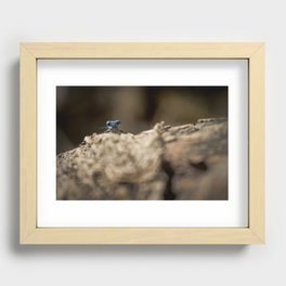 Libelula Azul, Blue Libelula Recessed Framed Print